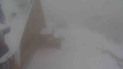 Parkoviště a hlavní vchod