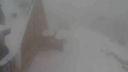 Parkoviště a hlavní vchod