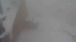 Parkoviště a hlavní vchod