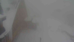 Parkoviště a hlavní vchod