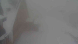 Parkoviště a hlavní vchod