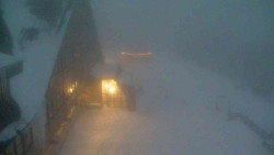 Parkoviště a hlavní vchod