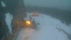 Parkoviště a hlavní vchod