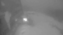 Parkoviště a hlavní vchod