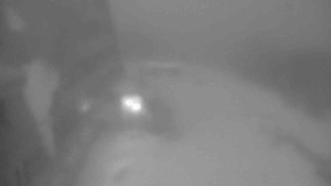 Sporthotel Kurzovní - Parkoviště a hlavní vchod - 23.1.2026 v 07:10 Sporthotel Kurzovní - Parkoviště a hlavní vchod - 23.1.2026 v 07:10