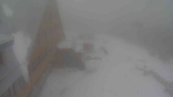 Parkoviště a hlavní vchod