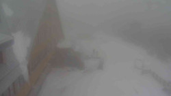 Parkoviště a hlavní vchod