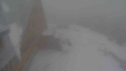 Parkoviště a hlavní vchod