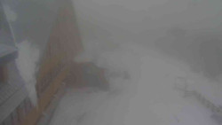 Parkoviště a hlavní vchod