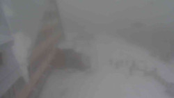 Parkoviště a hlavní vchod