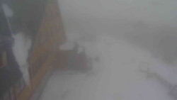 Parkoviště a hlavní vchod