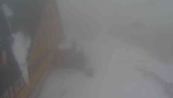 Parkoviště a hlavní vchod