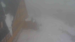 Parkoviště a hlavní vchod