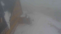 Parkoviště a hlavní vchod