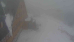 Parkoviště a hlavní vchod