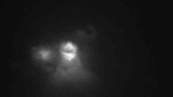 Parkoviště a hlavní vchod