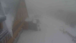 Parkoviště a hlavní vchod