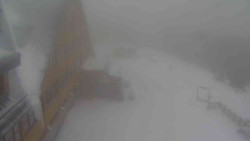 Parkoviště a hlavní vchod