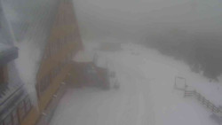 Parkoviště a hlavní vchod