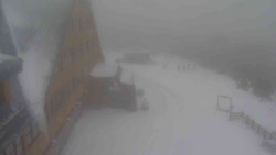 Parkoviště a hlavní vchod