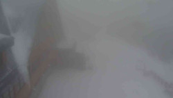 Parkoviště a hlavní vchod