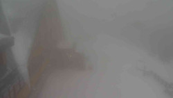 Parkoviště a hlavní vchod