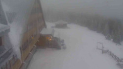 Parkoviště a hlavní vchod