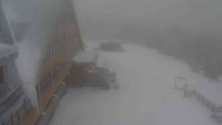 Parkoviště a hlavní vchod