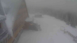 Parkoviště a hlavní vchod