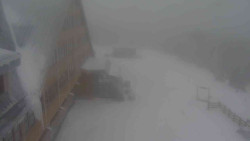 Parkoviště a hlavní vchod