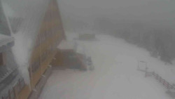 Parkoviště a hlavní vchod