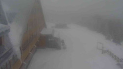 Parkoviště a hlavní vchod