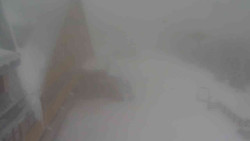 Parkoviště a hlavní vchod