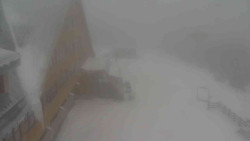 Parkoviště a hlavní vchod