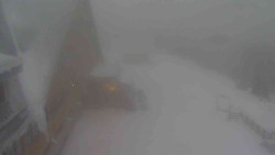 Parkoviště a hlavní vchod