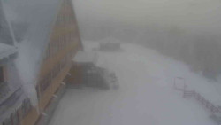 Parkoviště a hlavní vchod