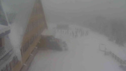 Parkoviště a hlavní vchod