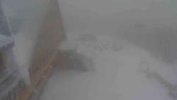 Parkoviště a hlavní vchod