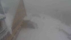 Parkoviště a hlavní vchod