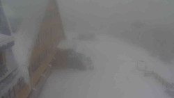 Parkoviště a hlavní vchod