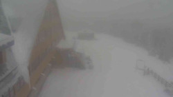 Parkoviště a hlavní vchod