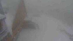 Parkoviště a hlavní vchod