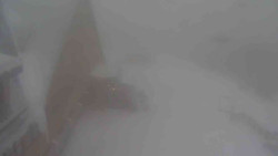 Parkoviště a hlavní vchod