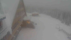 Parkoviště a hlavní vchod