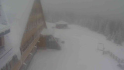 Parkoviště a hlavní vchod