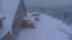 Parkoviště a hlavní vchod