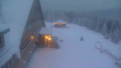 Parkoviště a hlavní vchod