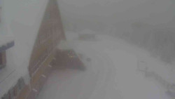 Parkoviště a hlavní vchod