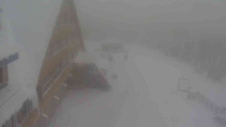 Parkoviště a hlavní vchod