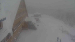 Parkoviště a hlavní vchod